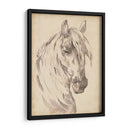 Bosquejo De Retrato De Caballo I - Jennifer Paxton Parker | Cuadro decorativo de Canvas Lab