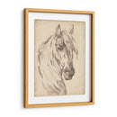 Bosquejo De Retrato De Caballo I - Jennifer Paxton Parker | Cuadro decorativo de Canvas Lab