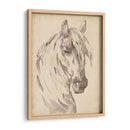 Bosquejo De Retrato De Caballo I - Jennifer Paxton Parker | Cuadro decorativo de Canvas Lab
