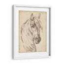 Bosquejo De Retrato De Caballo I - Jennifer Paxton Parker | Cuadro decorativo de Canvas Lab