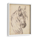 Bosquejo De Retrato De Caballo I - Jennifer Paxton Parker | Cuadro decorativo de Canvas Lab
