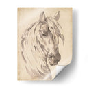 Bosquejo De Retrato De Caballo I - Jennifer Paxton Parker | Cuadro decorativo de Canvas Lab
