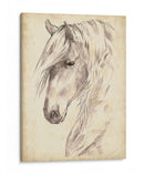 Bosquejo De Retrato De Caballo Ii - Jennifer Paxton Parker | Cuadro decorativo de Canvas Lab