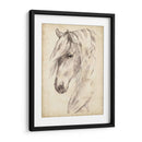 Bosquejo De Retrato De Caballo Ii - Jennifer Paxton Parker | Cuadro decorativo de Canvas Lab
