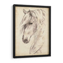 Bosquejo De Retrato De Caballo Ii - Jennifer Paxton Parker | Cuadro decorativo de Canvas Lab