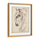 Bosquejo De Retrato De Caballo Ii - Jennifer Paxton Parker | Cuadro decorativo de Canvas Lab