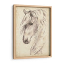 Bosquejo De Retrato De Caballo Ii - Jennifer Paxton Parker | Cuadro decorativo de Canvas Lab