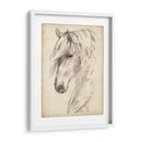 Bosquejo De Retrato De Caballo Ii - Jennifer Paxton Parker | Cuadro decorativo de Canvas Lab