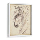 Bosquejo De Retrato De Caballo Ii - Jennifer Paxton Parker | Cuadro decorativo de Canvas Lab