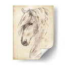 Bosquejo De Retrato De Caballo Ii - Jennifer Paxton Parker | Cuadro decorativo de Canvas Lab