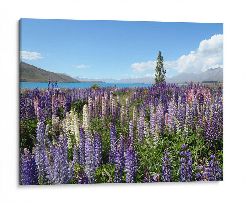 A lo silvestre | Cuadro decorativo de Canvas Lab