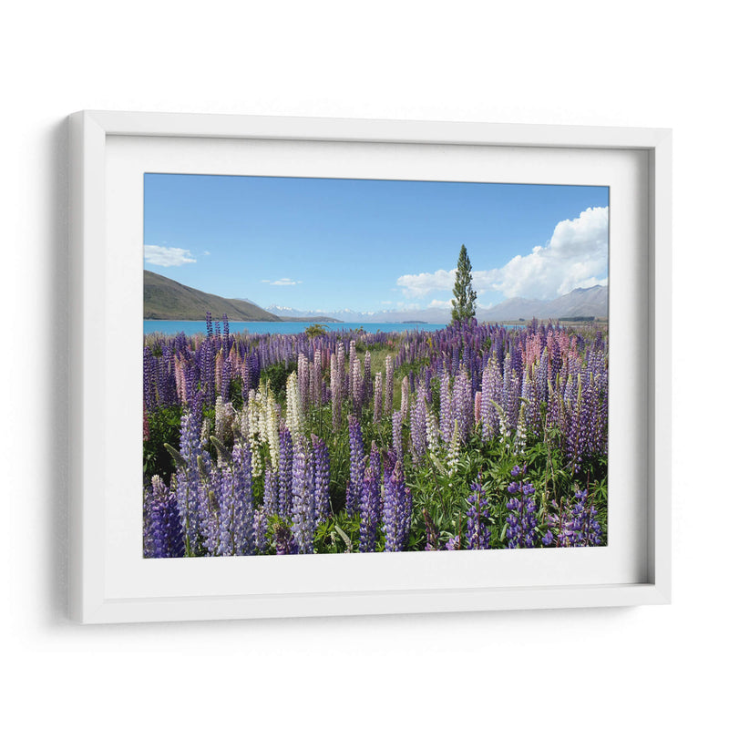 A lo silvestre | Cuadro decorativo de Canvas Lab