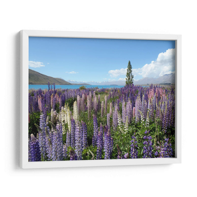 A lo silvestre | Cuadro decorativo de Canvas Lab