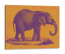 Safari Pop I - Studio W | Cuadro decorativo de Canvas Lab