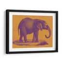 Safari Pop I - Studio W | Cuadro decorativo de Canvas Lab