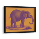 Safari Pop I - Studio W | Cuadro decorativo de Canvas Lab