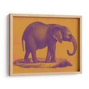 Safari Pop I - Studio W | Cuadro decorativo de Canvas Lab