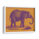 Safari Pop I - Studio W | Cuadro decorativo de Canvas Lab