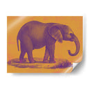 Safari Pop I - Studio W | Cuadro decorativo de Canvas Lab