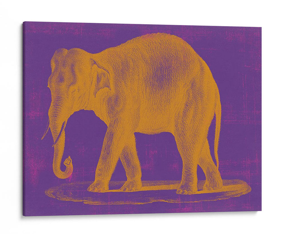 Safari Pop Ii - Studio W | Cuadro decorativo de Canvas Lab