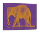 Safari Pop Ii - Studio W | Cuadro decorativo de Canvas Lab
