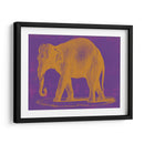 Safari Pop Ii - Studio W | Cuadro decorativo de Canvas Lab