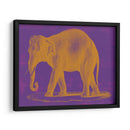 Safari Pop Ii - Studio W | Cuadro decorativo de Canvas Lab