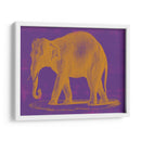 Safari Pop Ii - Studio W | Cuadro decorativo de Canvas Lab