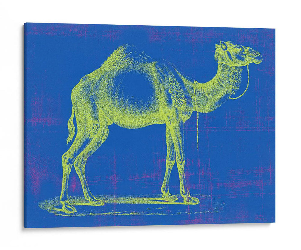 Safari Pop Iii - Studio W | Cuadro decorativo de Canvas Lab