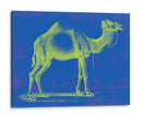 Safari Pop Iii - Studio W | Cuadro decorativo de Canvas Lab