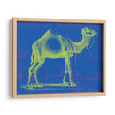 Safari Pop Iii - Studio W | Cuadro decorativo de Canvas Lab