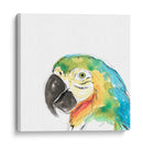 Retrato De Pájaro Tropical I - June Erica Vess | Cuadro decorativo de Canvas Lab