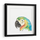 Retrato De Pájaro Tropical I - June Erica Vess | Cuadro decorativo de Canvas Lab