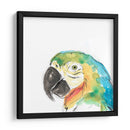 Retrato De Pájaro Tropical I - June Erica Vess | Cuadro decorativo de Canvas Lab