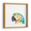 Retrato De Pájaro Tropical I - June Erica Vess | Cuadro decorativo de Canvas Lab