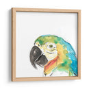 Retrato De Pájaro Tropical I - June Erica Vess | Cuadro decorativo de Canvas Lab