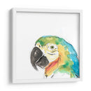 Retrato De Pájaro Tropical I - June Erica Vess | Cuadro decorativo de Canvas Lab