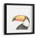 Retrato De Pájaro Tropical Iii - June Erica Vess | Cuadro decorativo de Canvas Lab