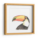 Retrato De Pájaro Tropical Iii - June Erica Vess | Cuadro decorativo de Canvas Lab