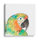 Retrato De Pájaro Tropical Iv - June Erica Vess | Cuadro decorativo de Canvas Lab