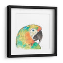 Retrato De Pájaro Tropical Iv - June Erica Vess | Cuadro decorativo de Canvas Lab