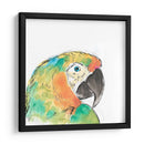 Retrato De Pájaro Tropical Iv - June Erica Vess | Cuadro decorativo de Canvas Lab