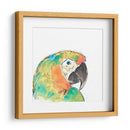 Retrato De Pájaro Tropical Iv - June Erica Vess | Cuadro decorativo de Canvas Lab