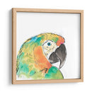 Retrato De Pájaro Tropical Iv - June Erica Vess | Cuadro decorativo de Canvas Lab