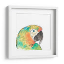 Retrato De Pájaro Tropical Iv - June Erica Vess | Cuadro decorativo de Canvas Lab
