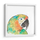 Retrato De Pájaro Tropical Iv - June Erica Vess | Cuadro decorativo de Canvas Lab