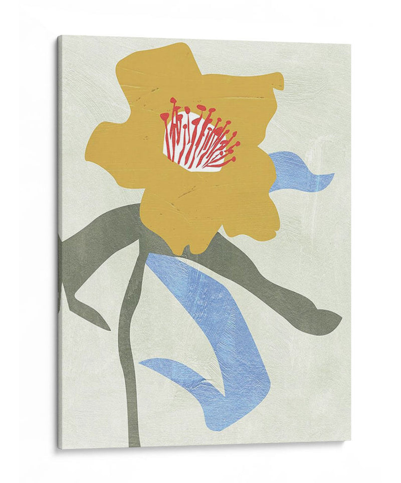 Lentene Rose I - Melissa Wang | Cuadro decorativo de Canvas Lab