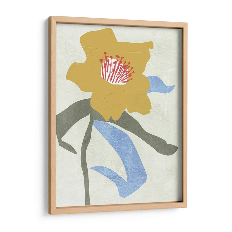 Lentene Rose I - Melissa Wang | Cuadro decorativo de Canvas Lab