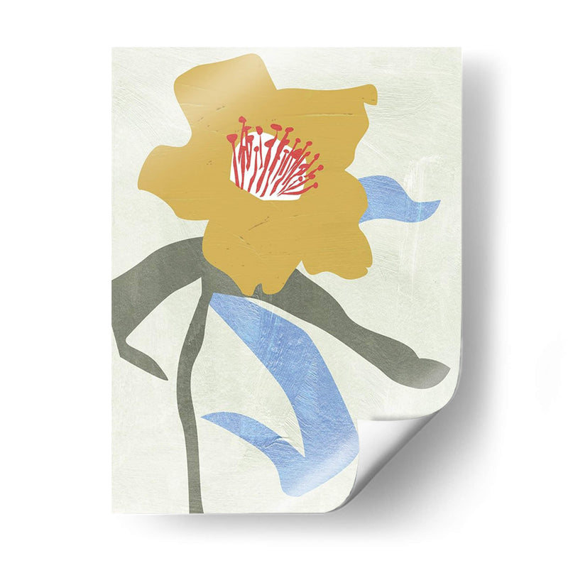 Lentene Rose I - Melissa Wang | Cuadro decorativo de Canvas Lab