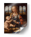 Virgen del clavel - Leonardo da Vinci | Cuadro decorativo de Canvas Lab